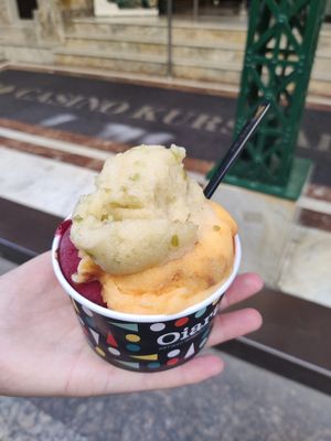  at Oiartzun in San Sebastian