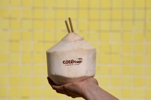 Fresh Coconuts at Coco House in Barcelona