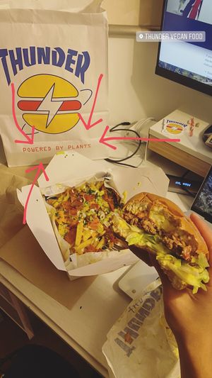 Burger and loaded fries  at Thunder Vegan - Malasaña in Madrid