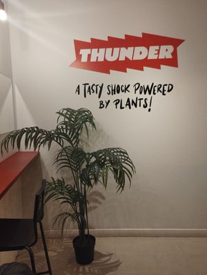 Interior limited seats at Thunder Vegan - Malasaña in Madrid