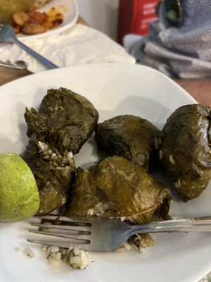 Grape leaves   at Boulamatsis in Naxos