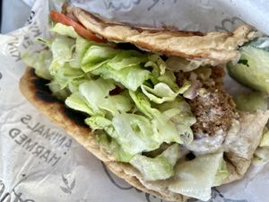 Falafel gyros  at Staazi & Co in Adelaide