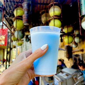 Blue Milk: plant-based blend of Coconut and Rice Milk with alluring fruity characteristics 💙  at Disneyland - Milk Stand in Anaheim