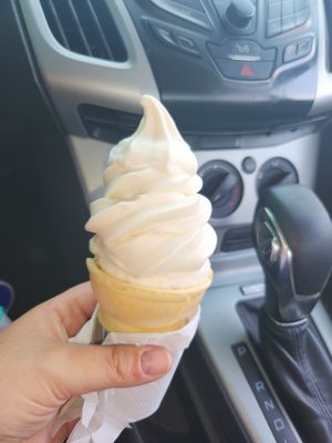 Soft Serve at Earth Burger - Nacogdoches Rd in San Antonio
