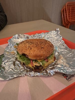 Classic burger with GF bun. So good!  at Earth Burger - Nacogdoches Rd in San Antonio