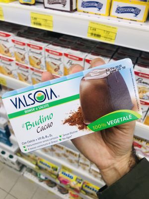 Vegan pudding  at Conad in Tirana