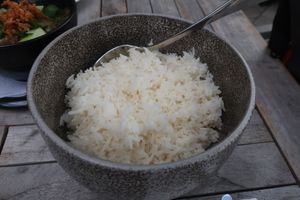Curry comes with just the perfect amount of rice at Ton Nam Thai in Meppel