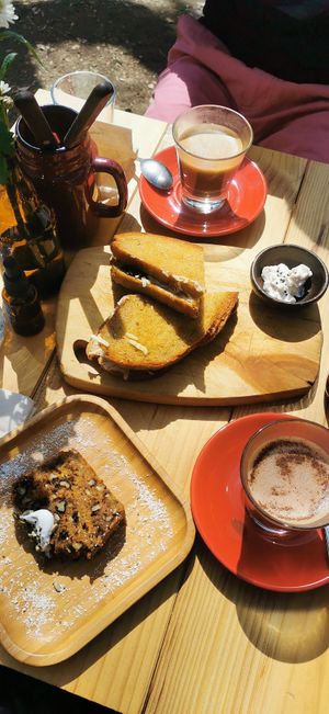 Carrot cake, chocolate caliente, mocachino y sandwich la fungi at Good Nick in Vina Del Mar