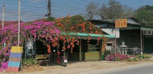 at Aharn Jay Somporn in Chiang Dao