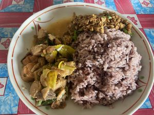Rice with two side dishes   at Kao Man Kai Jay Vegan in Chiang Dao