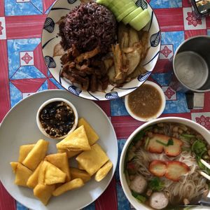 Fried mushrooms and mock duck with rice. The mushrooms were fried to a crisp, more like vegan pork rinds than a nice veggie dish. Mock duck and purple rice were good.  at Kao Man Kai Jay Vegan in Chiang Dao