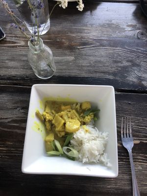 Vegan curry (half portion) at The Hyde House in Boise