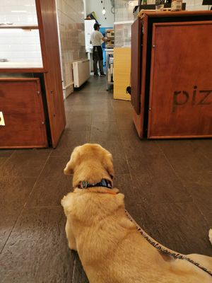 Everything under control! 😀 at La Pizza Berra in Liberec