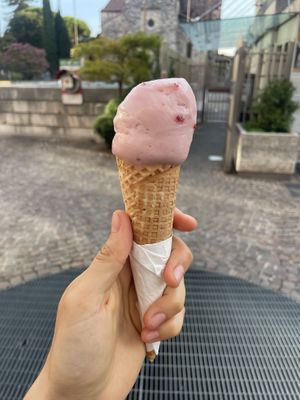 Rose & raspberry  at Accademia del Gelato in Udine