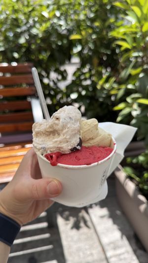so delicious vegan Ice Cream  at Accademia del Gelato in Udine