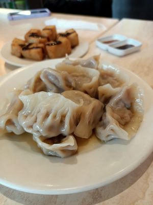 Handmade Dumplings at Tea Master in Fortitude Valley