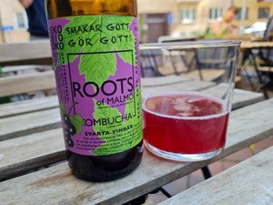 Kombucha at Flax in Malmo