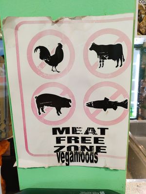 Love being in vegan spaces! at Belmont Vegetarian Restaurant in Worcester