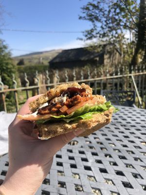 Amazing BLT at The Eating Gorilla in Penrhyndeudraeth