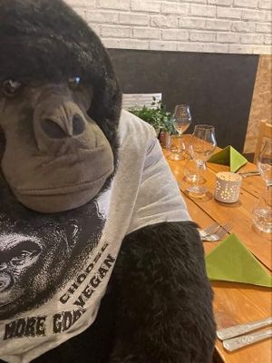 The Eating Gorilla. Vegan Cafe at The Eating Gorilla in Penrhyndeudraeth
