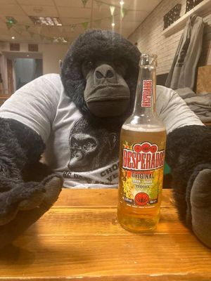 The Eating Gorilla. Vegan Cafe at The Eating Gorilla in Penrhyndeudraeth