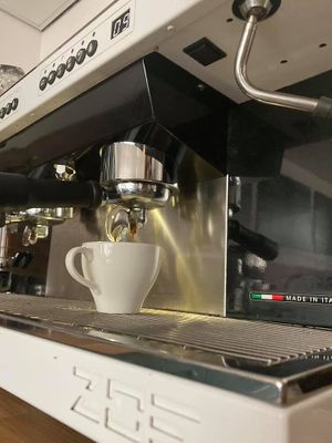 The Eating Gorilla. Vegan Cafe at The Eating Gorilla in Penrhyndeudraeth