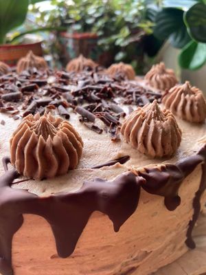 The Eating Gorilla. Vegan Cafe at The Eating Gorilla in Penrhyndeudraeth