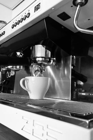 The Eating Gorilla. Vegan Cafe at The Eating Gorilla in Penrhyndeudraeth