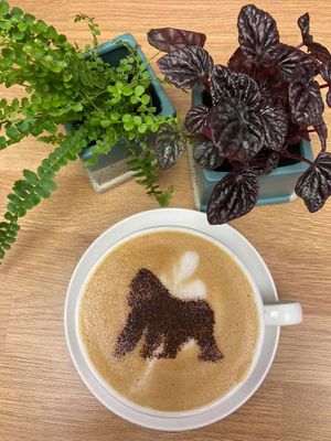 The Eating Gorilla. Vegan Cafe at The Eating Gorilla in Penrhyndeudraeth