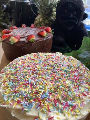 The Eating Gorilla. Vegan Cafe at The Eating Gorilla in Penrhyndeudraeth