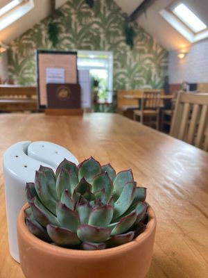 The Eating Gorilla. Vegan Cafe at The Eating Gorilla in Penrhyndeudraeth