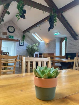 The Eating Gorilla. Vegan Cafe at The Eating Gorilla in Penrhyndeudraeth