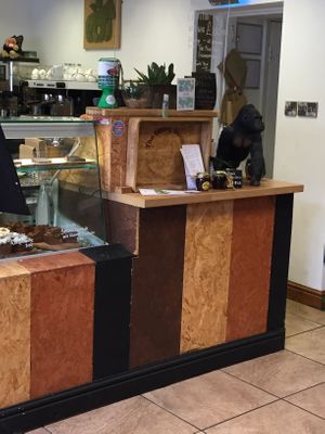 Counter at The Eating Gorilla in Penrhyndeudraeth