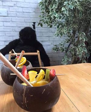  at The Eating Gorilla in Penrhyndeudraeth