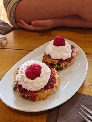 cream scone at The Eating Gorilla in Penrhyndeudraeth