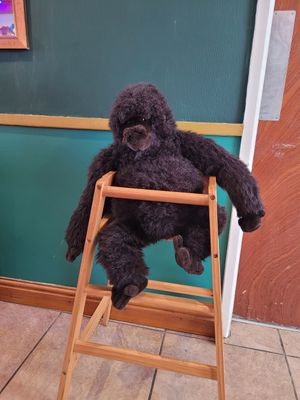 The Eating Gorilla Inside at The Eating Gorilla in Penrhyndeudraeth