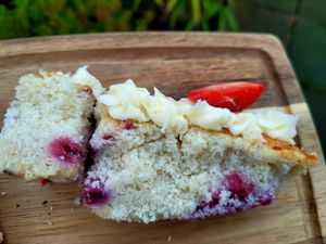 Made Without Wheat Berry Cake. at The Eating Gorilla in Penrhyndeudraeth