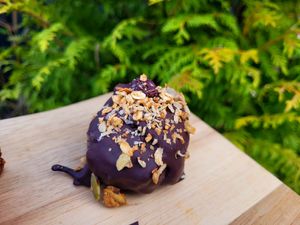 Fruit & Nut Cake Pop. at The Eating Gorilla in Penrhyndeudraeth