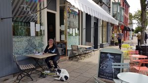Outdoor seating, dog friendly at Ty Medi in Machynlleth