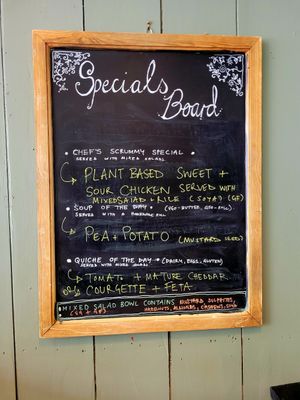 Specials Board June 2025 (Vegan Options Labelled) at Ty Medi in Machynlleth