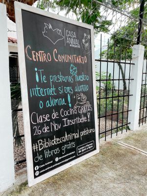 Entrance  at Casa Animal Antiespecista in Playa Del Carmen