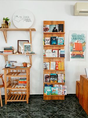 Book stand  at Casa Animal Antiespecista in Playa Del Carmen