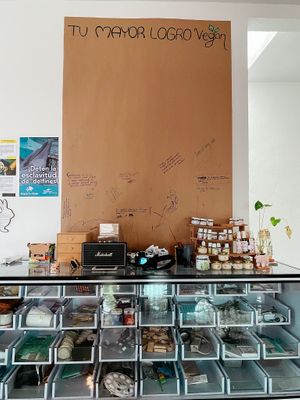 Product stand  at Casa Animal Antiespecista in Playa Del Carmen