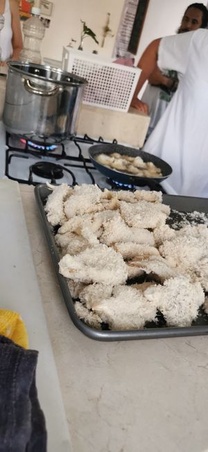 Setas rebozadas, cocinando juntas - cooking with friends :) at Casa Animal Antiespecista in Playa Del Carmen
