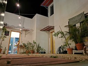 Todes son bienvenides 💖 Everyone is welcome in this vegan community center at Casa Animal Antiespecista in Playa Del Carmen