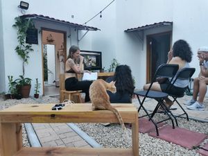 Talleres gratuitos - Free workshops at Casa Animal Antiespecista in Playa Del Carmen