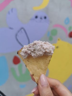 Clase de leches y quesos vegetales 🌱 Learn how to make vegan milk and cheese 😌 at Casa Animal Antiespecista in Playa Del Carmen