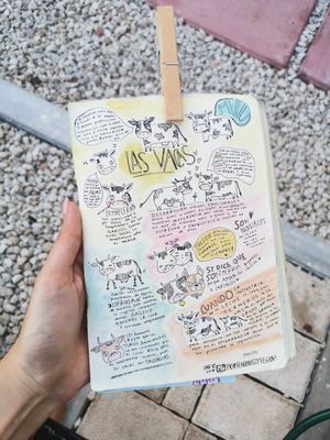 Te brindan mucha información para tu transición at Casa Animal Antiespecista in Playa Del Carmen