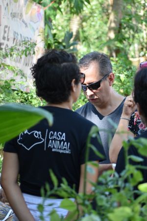 At festivals at Casa Animal Antiespecista in Playa Del Carmen