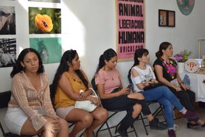 Conferences at Casa Animal Antiespecista in Playa Del Carmen